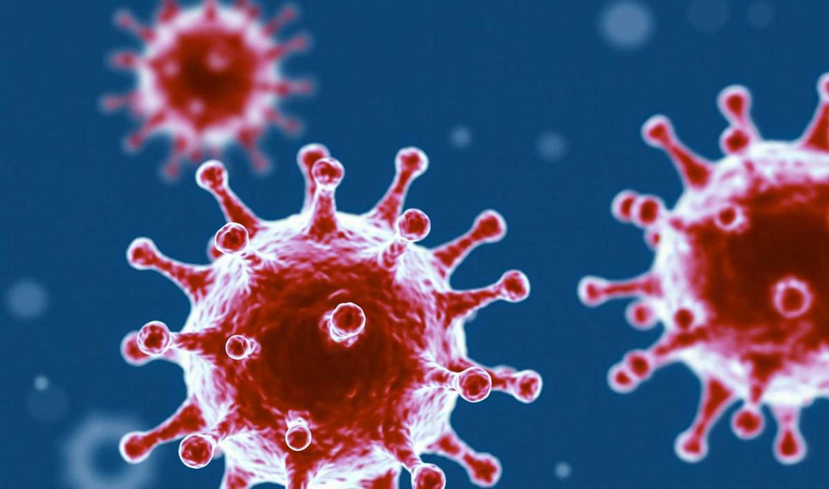 CORONAVIRUS - PreventaPest Limited